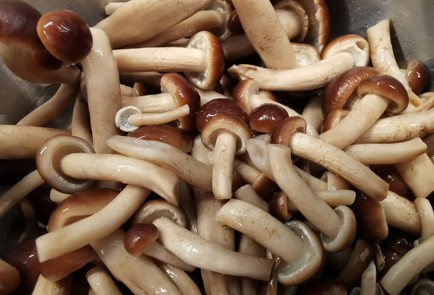 Фото шага рецепта Грибы в банке 190256 шаг 4  