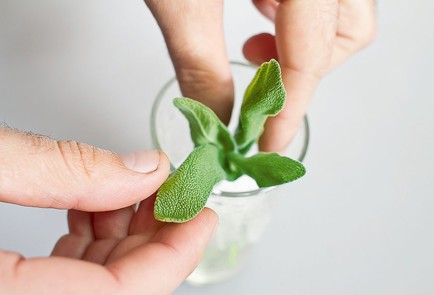 Фото шага рецепта Грушевый лимонад с шалфеем 31802 шаг 1  