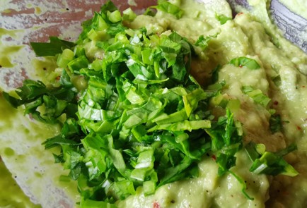 Фото шага рецепта Гуакамоле 189482 шаг 5  