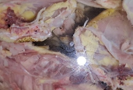 Фото шага рецепта Холодец из курицы 190562 шаг 3  