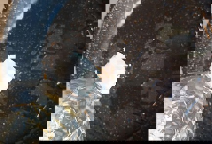 Фото шага рецепта Хрустящие чебуреки на сковороде 190867 шаг 6  