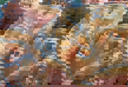 Фото шага рецепта Хворост 190852 шаг 10  