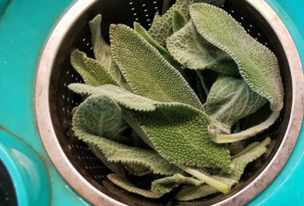 Фото шага рецепта Имбирный чай с шалфеем и мятой 152377 шаг 2  