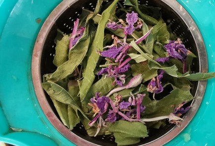 Фото шага рецепта Имбирный зеленый иванчай 152363 шаг 4  