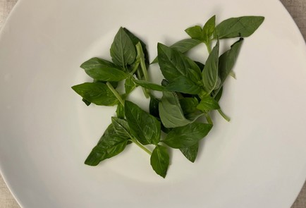 Фото шага рецепта Индейка с базиликом и баклажаном 190318 шаг 1  