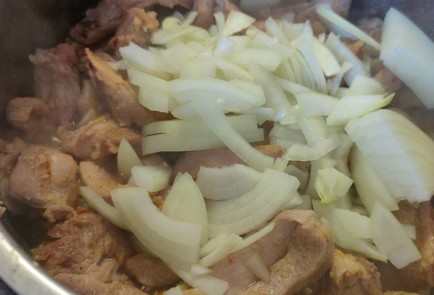 Фото шага рецепта Индейка тушенная с картофелем и морковью 189450 шаг 8  