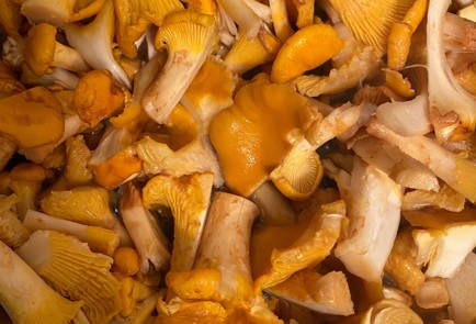 Фото шага рецепта Жареная картошка с лисичками 151353 шаг 2