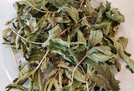 Фото шага рецепта Жаропонижающий травяной отвар 152522 шаг 1  