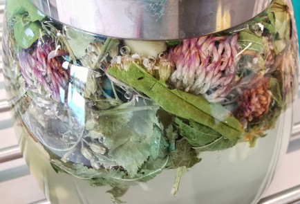 Фото шага рецепта Жаропонижающий травяной отвар 152522 шаг 10  