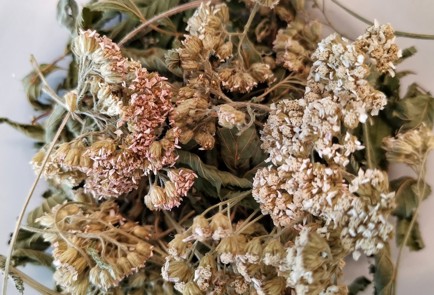 Фото шага рецепта Жаропонижающий травяной отвар 152522 шаг 2  