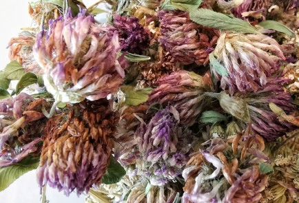 Фото шага рецепта Жаропонижающий травяной отвар 152522 шаг 3  