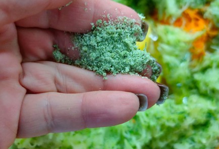 Фото шага рецепта Кабачковые блины 190239 шаг 9  