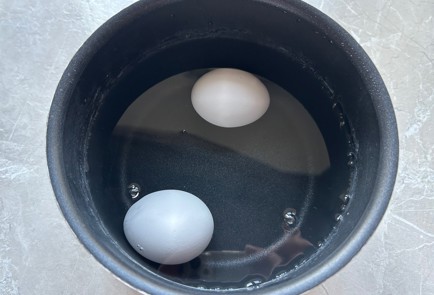 Фото шага рецепта Как варить яйца вкрутую 174806 шаг 4  