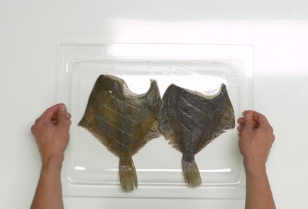 Фото шага рецепта Камбала в духовке 151102 шаг 3  