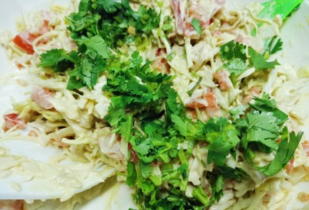 Фото шага рецепта Капустный салат 190745 шаг 10  