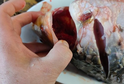 Фото шага рецепта Карп запеченный в духовке 175888 шаг 2  