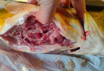 Фото шага рецепта Карп запеченный в духовке 191303 шаг 4  