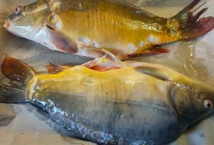 Фото шага рецепта Карп запеченный в духовке 191303 шаг 5  