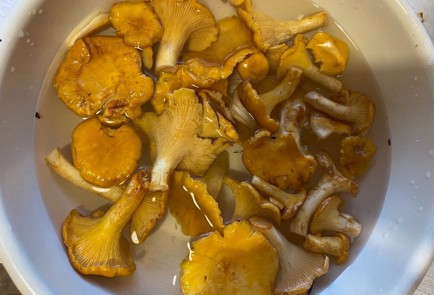 Фото шага рецепта Картошка с лисичками запеченные в сливках 174273 шаг 1  