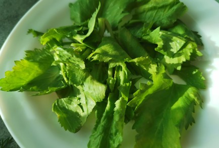 Фото шага рецепта Кавказский салат 191570 шаг 1  