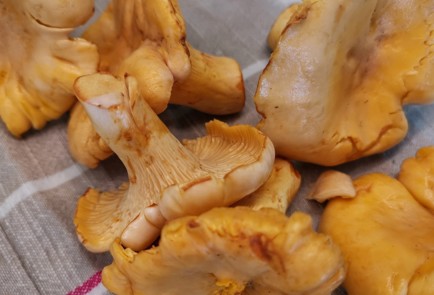 Фото шага рецепта Кетопицца с лисичками 174661 шаг 6  