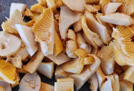 Фото шага рецепта Кетопицца с лисичками 174661 шаг 7  