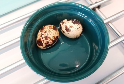 Фото шага рецепта Кетопоке 186795 шаг 2  