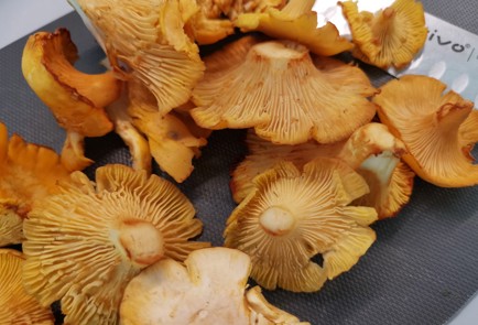 Фото шага рецепта Кетоспагетти с лисичками 186835 шаг 1  