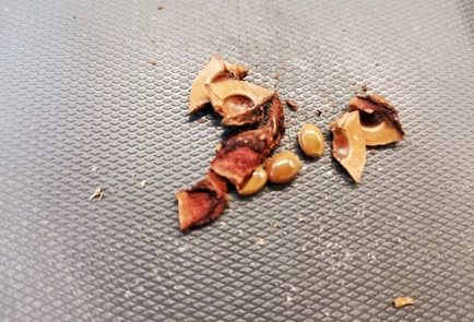 Фото шага рецепта Классический согревающий глинтвейн 140463 шаг 7  