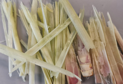 Фото шага рецепта Клюквенный морс с лемонграссом 151757 шаг 2  