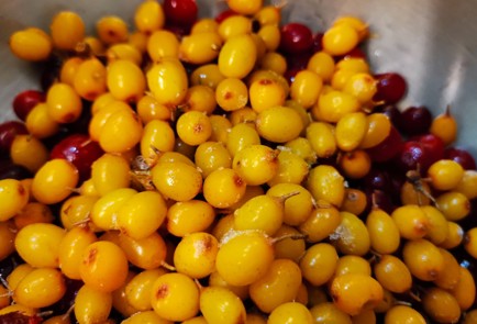 Фото шага рецепта Клюквенный морс 188430 шаг 2