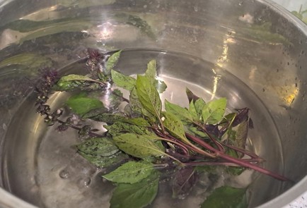 Фото шага рецепта Домашний компот из базилика с мятой и лимоном 190245 шаг 7