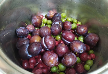 Фото шага рецепта Компот из домашних ягод 190132 шаг 3  