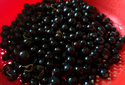 Фото шага рецепта Компот из свежих ягод и яблок 189746 шаг 7  