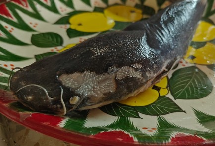 Фото шага рецепта Копченый сом 189301 шаг 4  