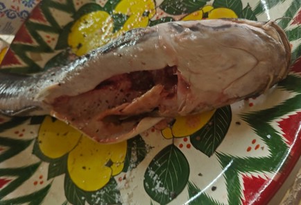 Фото шага рецепта Копченый сом 189301 шаг 7  