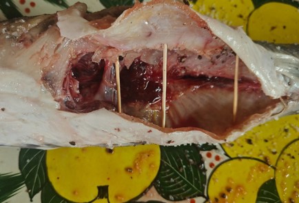 Фото шага рецепта Копченый сом 189301 шаг 8  