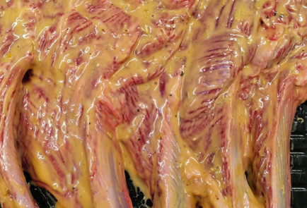 Фото шага рецепта Котлета из барашка на кости в пикантном маринаде 151776 шаг 3  