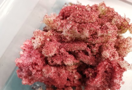 Фото шага рецепта Котлеты с капустой 190479 шаг 3  