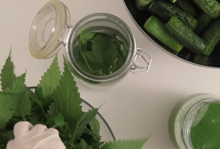 Фото шага рецепта Крапивноогуречные огурцы 80034 шаг 2  