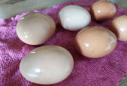 Фото шага рецепта Крашеные яйца в луковой шелухе 188953 шаг 6  