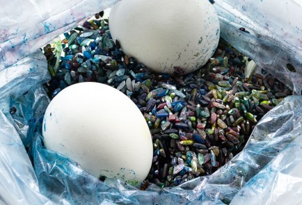 Фото шага рецепта Крашеные яйца в рисе 173460 шаг 7  