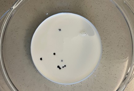 Фото шага рецепта Кролик в сливочном соусе 189739 шаг 7  