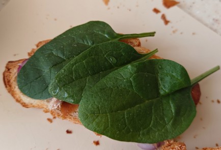 Фото шага рецепта Круассан с тунцом и огурцом 191524 шаг 8  