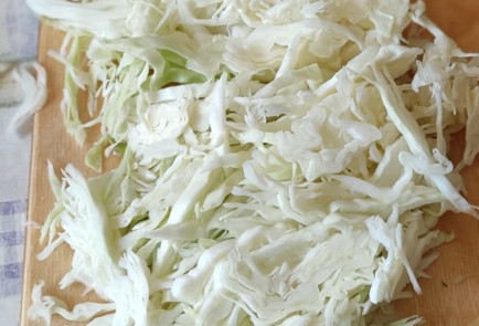 Фото шага рецепта Кубанский борщ 174541 шаг 12  