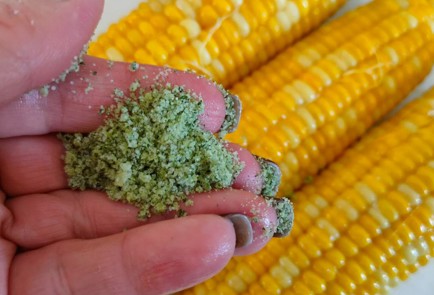 Фото шага рецепта Кукуруза вареная с молоком и сливочным маслом 190238 шаг 10  