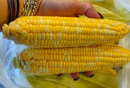 Фото шага рецепта Кукуруза вареная с молоком и сливочным маслом 190238 шаг 2  