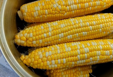 Фото шага рецепта Кукуруза вареная с молоком и сливочным маслом 190238 шаг 4  