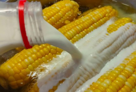 Фото шага рецепта Кукуруза вареная с молоком и сливочным маслом 190238 шаг 6  
