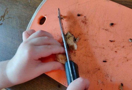 Фото шага рецепта Курица с грибами и зеленым луком в сливочном соусе 176172 шаг 5  